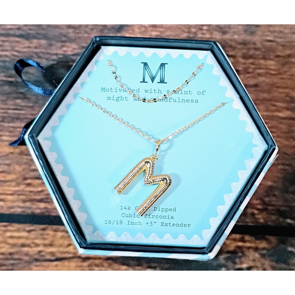 A New Day 14k Gold Dipped Initial M Necklace Cubic Zirconia Ribbed Pendant Boxed
